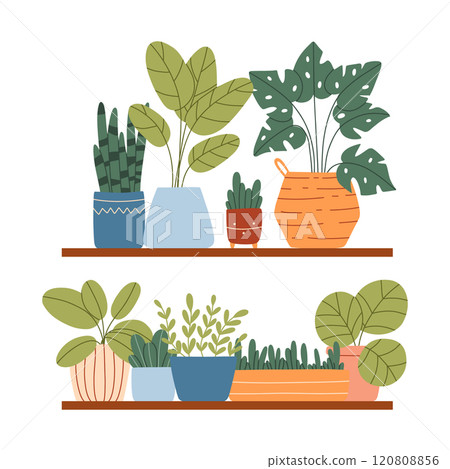 Indoor plants in a pot on a shelf. House plants are on a shelf. Vector illustration.Flat style. Modern plants in pots. 120808856