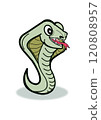 蛇/眼鏡蛇插圖 120808957