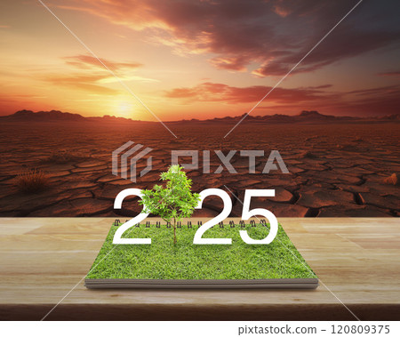 Happy new year 2025 ecological cover concept, Generative AI 120809375
