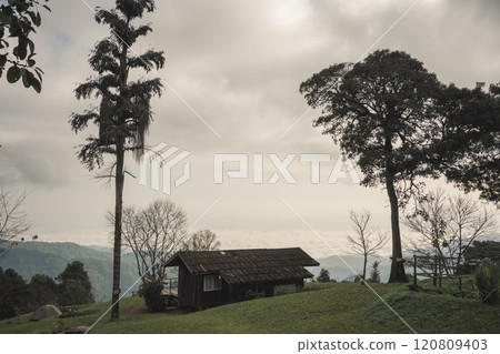 landscape and travel concept with sunrise and layer of mountain and mist with country house 120809403