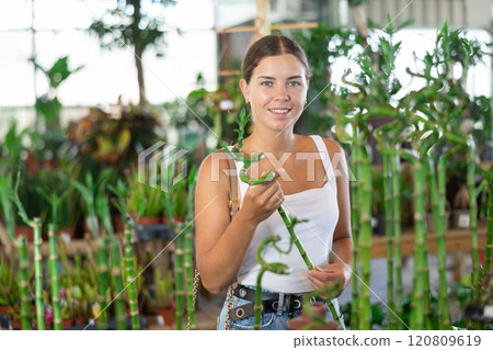 Young woman choosing bamboo in flower shop Young woman choosing bamboo in flower shop 120809619