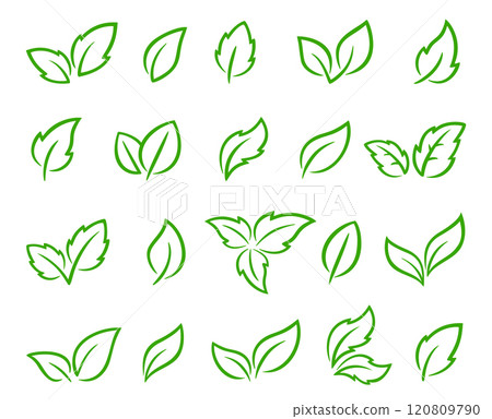 Hand drawn green linear leaves set 120809790