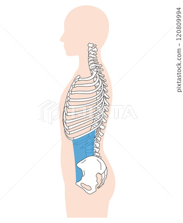 肋骨打開，下背呈拱形，正確的姿勢和下背呈拱形 120809994