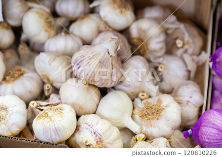 Garlic in a crate for sale in a store 120810226