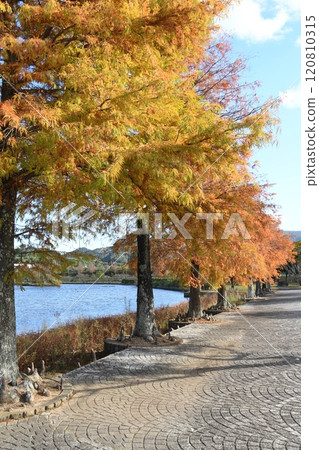 淺隈山麓公園和秋葉 淺隈山麓公園和秋葉 120810315
