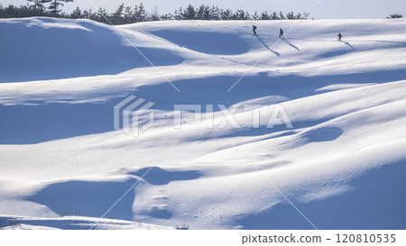 Snowy landscape of Tottori Sand Dunes 120810535