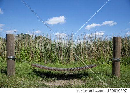 Relaxation Spot in Nature with Wooden Hammock Relaxation Spot in Nature with Wooden Hammock 120810897