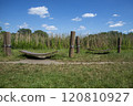 Relaxation Spot in Nature with Wooden Hammock 120810927