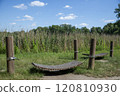 Relaxation Spot in Nature with Wooden Hammock 120810930