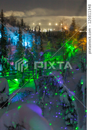 Magic forest at winter, Mysterious Forest in Murmansk region, Kirovsk, fantastic creation 120811348