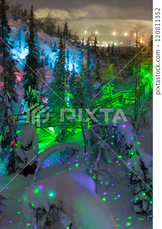 Magic forest at winter, Mysterious Forest in Murmansk region, Kirovsk, fantastic creation 120811352