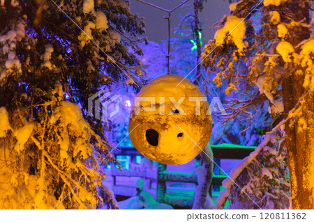 Magic forest at winter, Mysterious Forest in Murmansk region, Kirovsk, fantastic creation Magic forest at winter, Mysterious Forest in Murmansk region, Kirovsk, fantastic creation 120811362