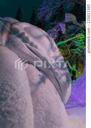 Magic forest at winter, Mysterious Forest in Murmansk region, Kirovsk, fantastic creation 120811365