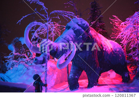 Magic forest at winter, Mysterious Forest in Murmansk region, Kirovsk, fantastic creation 120811367