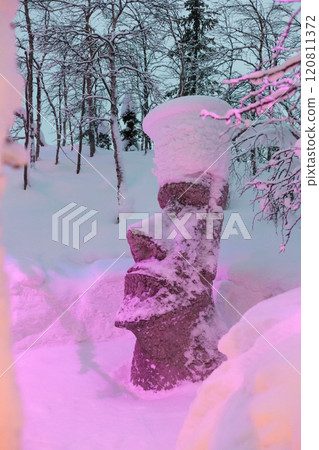 Magic forest at winter, Mysterious Forest in Murmansk region, Kirovsk, fantastic creation Magic forest at winter, Mysterious Forest in Murmansk region, Kirovsk, fantastic creation 120811372
