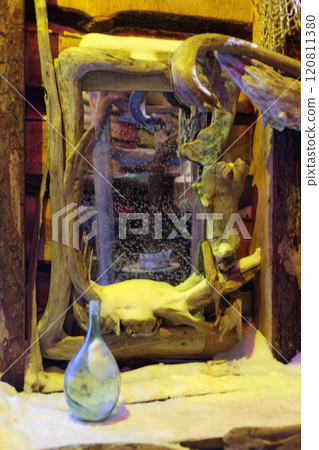 Magic forest at winter, Mysterious Forest in Murmansk region, Kirovsk, fantastic creation 120811380