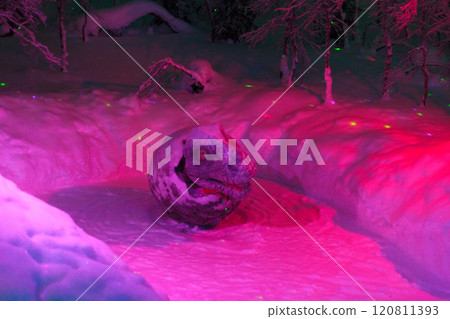 Magic forest at winter, Mysterious Forest in Murmansk region, Kirovsk, fantastic creation 120811393