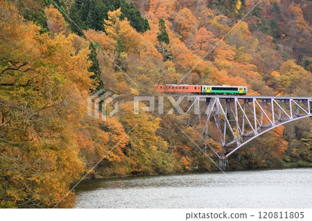 Tadami Line "Autumn leaves and a train running over the First Tadami River Bridge" 120811805
