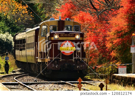 A trolley train runs along the autumnal railway... "Torokko Watarase Valley Train" at Sawaniri Station A trolley train runs along the autumnal railway... "Torokko Watarase Valley Train" at Sawaniri Station 120812174