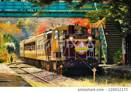 A trolley train runs along the autumnal railway... "Torokko Watarase Valley Train" at Sawaniri Station 120812175