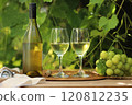 Close-up cold white Wine bottle and white wine in the glass with fruits grape trees in morning nature background on wooden table. 120812235
