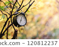 Autumn time or Fall time concept. Vintage Alarm clock black color in the autumn background. 120812237