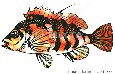 Cute paper cutout illustration of the alien fish Okigombe 120812332