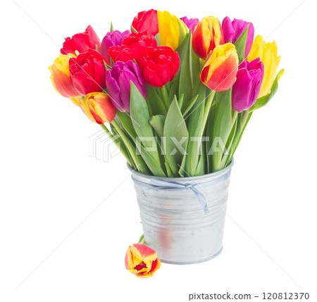 spring flowers in vase 120812370