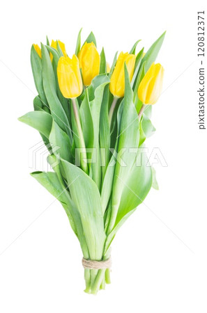 spring flowers in vase 120812371