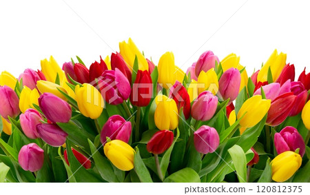 spring flowers in vase 120812375