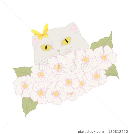 Illustration of a white cat peeking over pink flowers with a yellow butterfly on its head. Illustration of a white cat peeking over pink flowers with a yellow butterfly on its head. 120812430