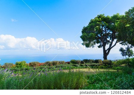 Ravello village, Amalfi coast of Italy 120812484