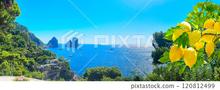 Capri island, Italy 120812499