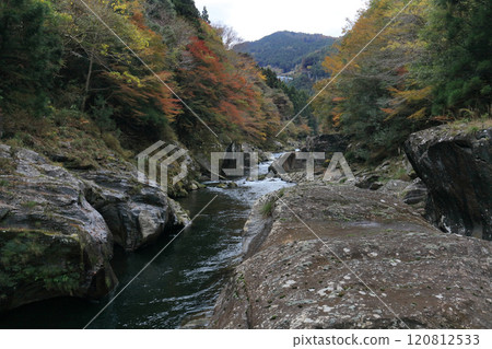道山川(吉野川最長的支流)富鄉溪谷的紅葉和坑洞(深秋) 道山川(吉野川最長的支流)富鄉溪谷的紅葉和坑洞(深秋) 120812533