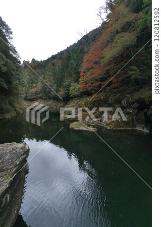道山川（吉野川最長的支流）富鄉溪谷的紅葉和深水（深秋） 120812592