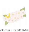 Illustration of yellow primrose flowers with a butterfly and green leaves. 120812602
