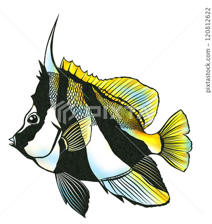 鹹水魚（海藻魚）的剪紙插圖，其特徵是惡魔般的角。 120812622