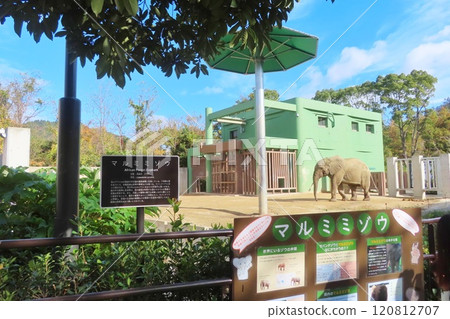 [廣島縣] 廣島市 阿佐動物園 森林象 120812707