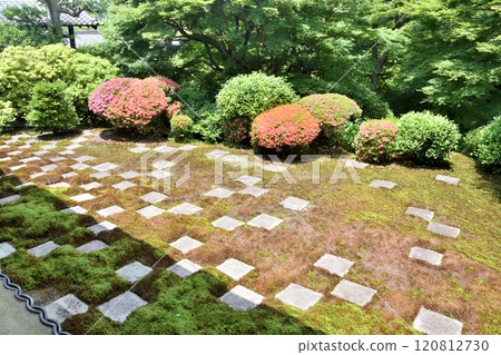 東福寺的北園 120812730