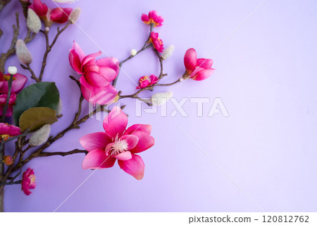 Almond flowers on blue background Almond flowers on blue background 120812762