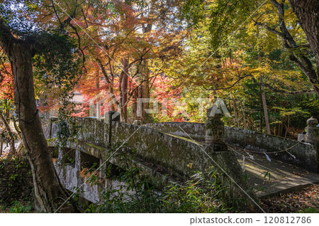 Autumn scenery of Sakamoto, Otsu City, Hiyoshi Taisha Shrine Ninomiya Bridge 120812786