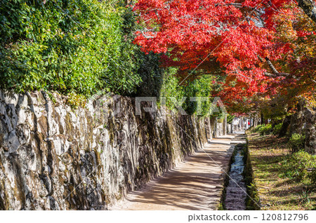 Autumn scenery in Sakamoto, Otsu City - Trees turning red 120812796