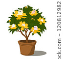 flower pot with a small tree on it flowers with cats 120812982