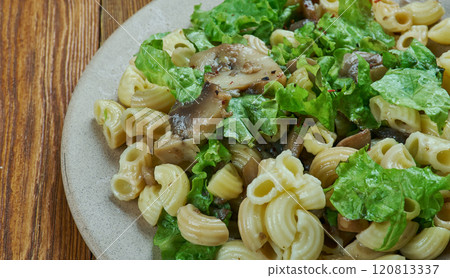 Mushroom Elbow macaroni Mushroom Elbow macaroni 120813337