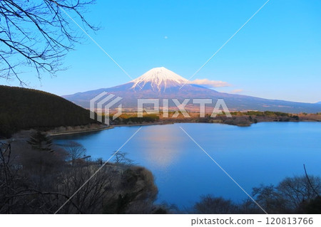 [Shizuoka Prefecture] Mt. Fuji as seen from Lake Tanuki Observatory 120813766