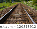 Travel and Railways: Local Lines, Railroad Tracks 120813912