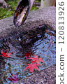 Fallen autumn leaves 120813926