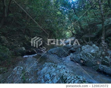 Ogimi Village, Okinawa Prefecture, Hiraminami River on the way to Ta-taki Falls 120814372