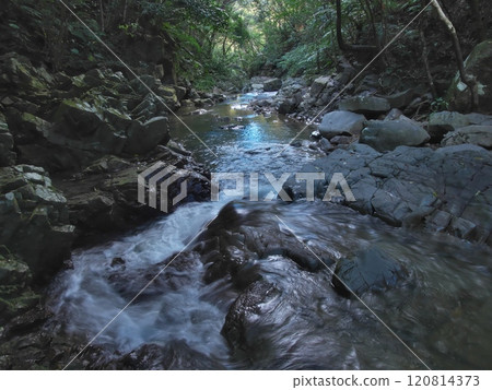 Ogimi Village, Okinawa Prefecture, Hiraminami River on the way to Ta-taki Falls 120814373