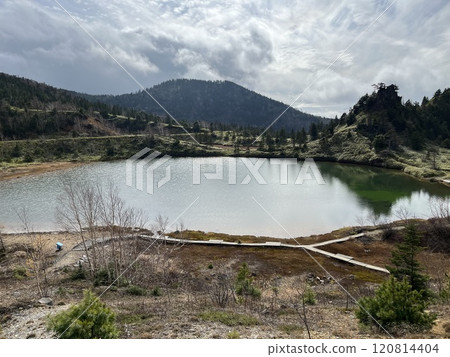 草津由美池 草津由美池 120814404